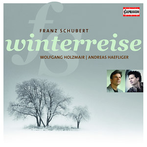 Winterreise, Op. 89, D. 911 - No. 3. Gefror'ne Tranen