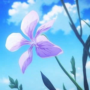 dried flower (Explicit)