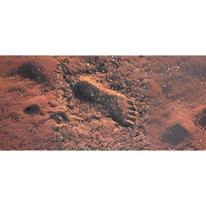 [已卖断] 自在逍遥