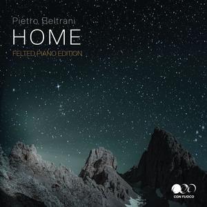 Vision (Felted Piano Edition)