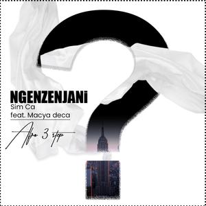 Ngenzenjani (feat. Macya deca)