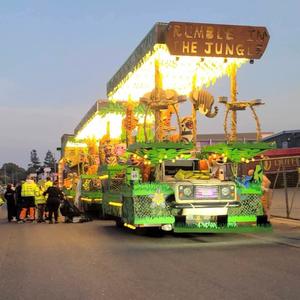 Rumble in the Jungle