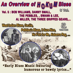 An Overview of Hokum Blues 6 Vol. - Vol. 5 : Bob Williams - Dany Small - The Pebbles - Swan & Lee - Al Miller - Three Stripped Gears Early blues music (20 Titles - 1926-1935)