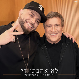 לא אהבתי די