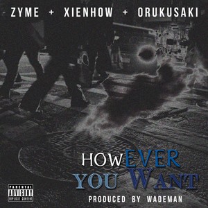 However You Want (Explicit)