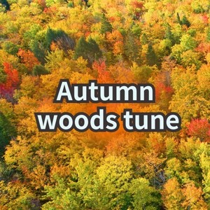 Autumn woods tune