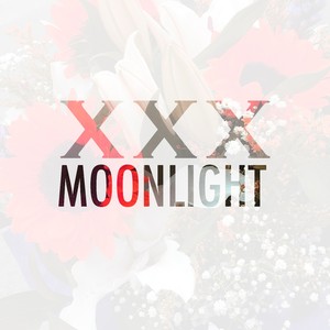 Moonlight (Explicit)