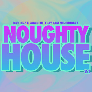 Noughty House V.1