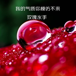 我的气质你模仿不来