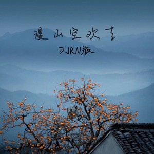 漫山空欢喜 (DJRN版伴奏)