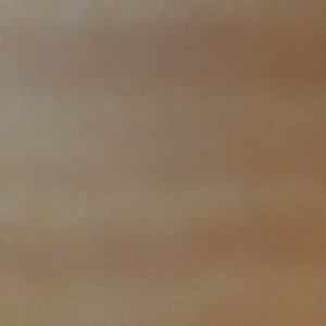 Spring Waltz (春天的华尔兹)