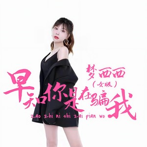 早知你是在骗我 (女版伴奏)