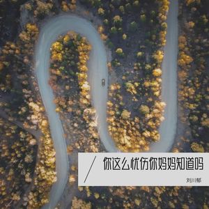 你这么忧伤你妈妈知道吗