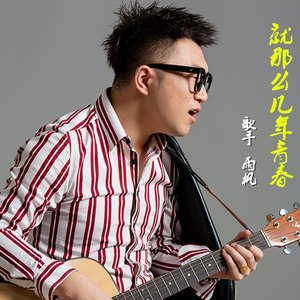 就那么几年青春 (发行版)