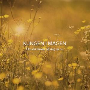 Om du tänker på mig så nu