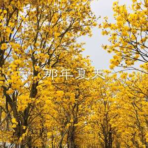 你有没有听到我