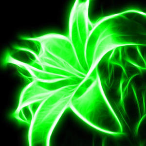 Green Light (Explicit)