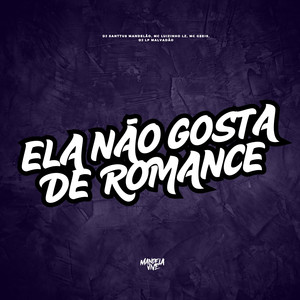 Ela Não Gosta de Romance (Explicit)