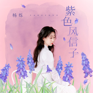 杨烁 - 紫色风信子