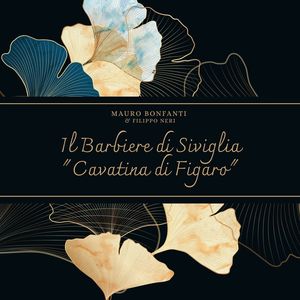 Il Barbiere di Siviglia - 