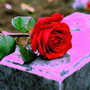 GHO$t (DROPPIN' THA BOMB) (Explicit)