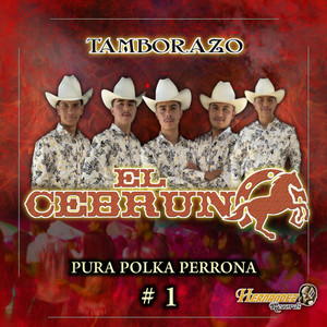 Pura Polka Perrona #1