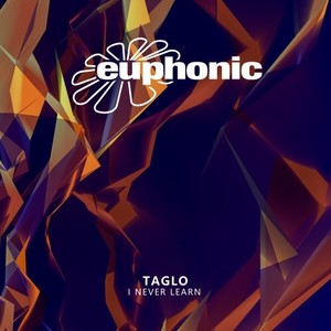 I Never Learn (DJ Version)