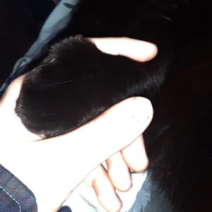 Sink into myself (feat. CASEY TRIP)