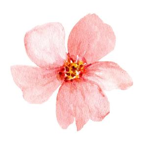 No Me Pidas Que Te Olvide 雌犬