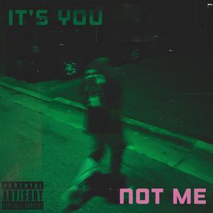 It's You Not Me (Explicit)