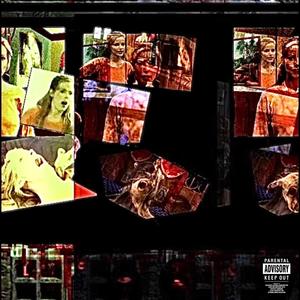 Pricey Fabric (feat. whylunar) (Explicit)