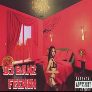 Dj Banz Feenin (Explicit)