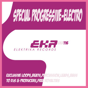 Special Progressive-Electro Arp2 128 (Tool 18)