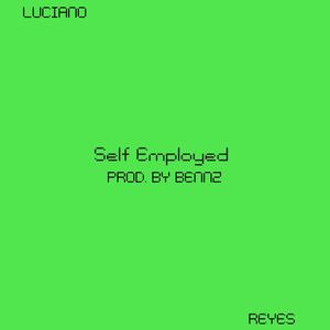 Self Employed (Explicit)