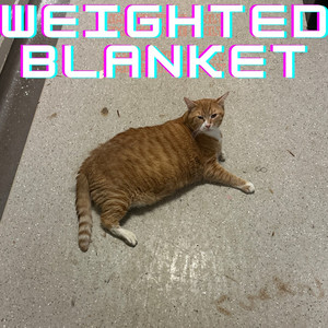 Weighted Blanket (Explicit)