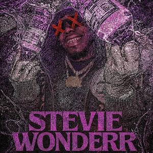 Stevie Wonderr (Explicit)