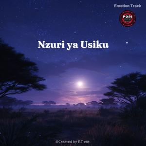 Nzuri ya Usiku