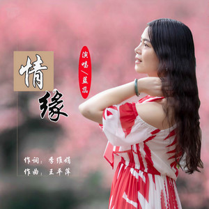 情缘 (DJ伟然版)