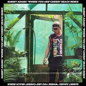 Where You Are (Cherry Beach Remix)