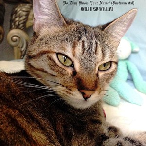 Do They Know Your Name? (Inst.)