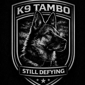 Defy - What i Never Said (Explicit)