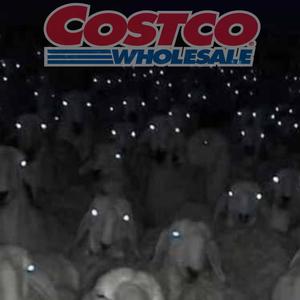 COSTCO GUYZ (feat. Daniel Larson & Lebron James Hairline) [Explicit]