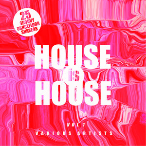 House Is House (25 Groovy Dancefloor Shakers), Vol. 1