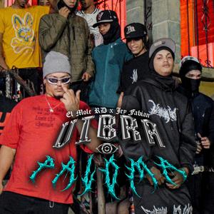 VIBRA PALOMA (feat. Jey Fabian)