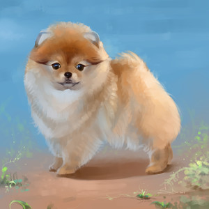 Pelusa (Versión instrumental)