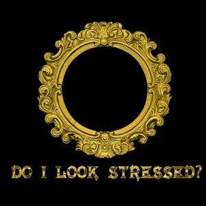 Do I Look Stressed? (Explicit)
