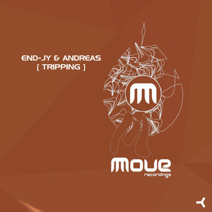 Tripping (Robert Babicz Remix)