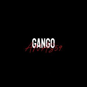 GANGO (Explicit)