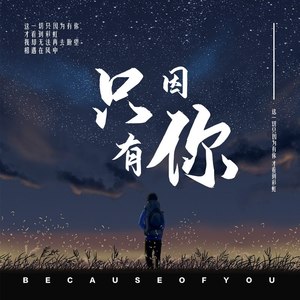 只因有你