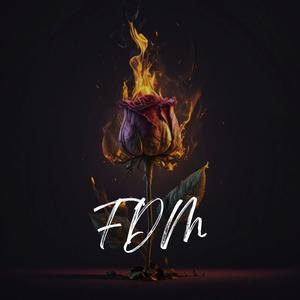 FDM (Explicit)